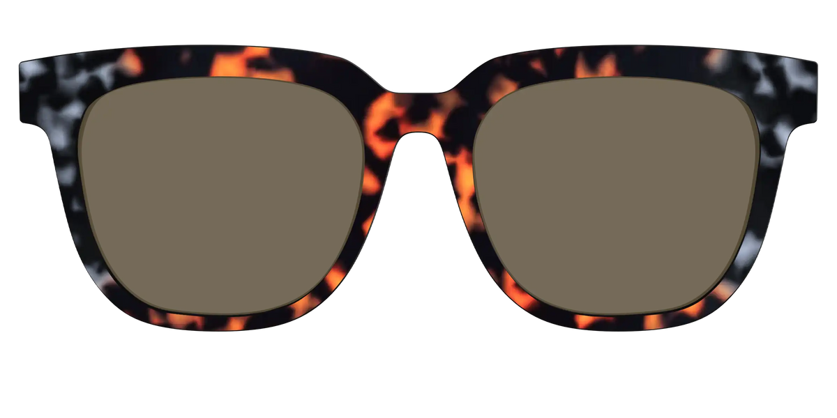 The Polarized Gray & Amber Tortoise Sun Top