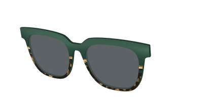 The Polarized Spruce Tortoise Sun Top