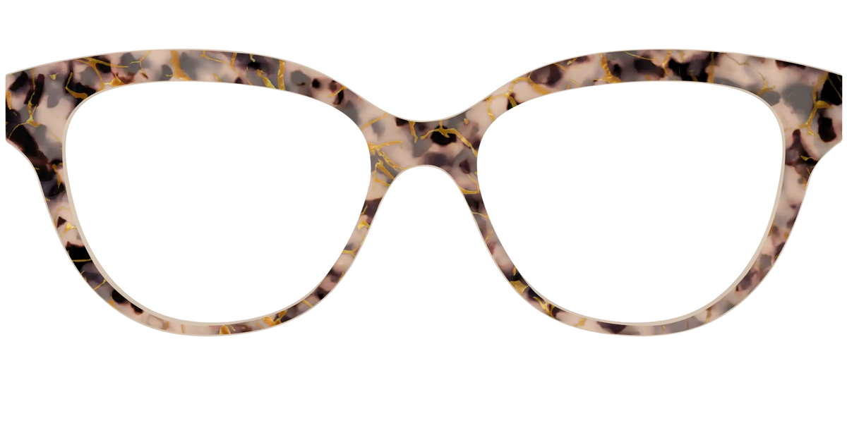 The Almond Tortoise with Gold Streaks