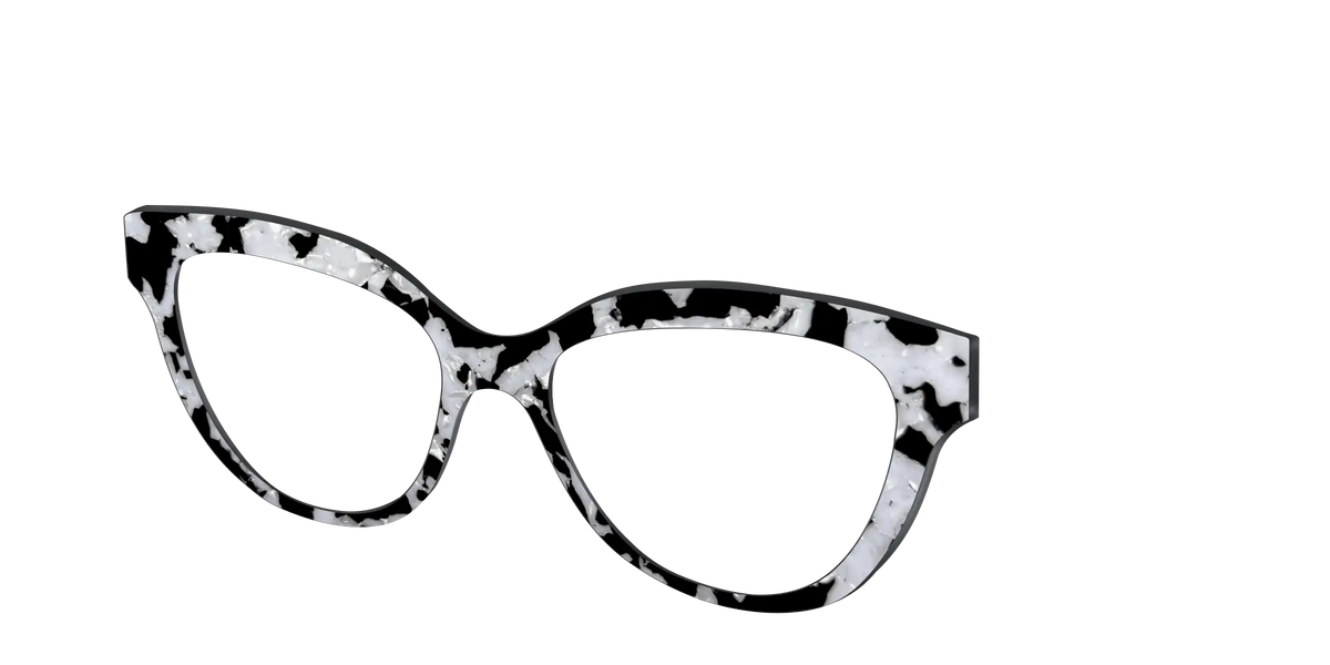 The Black & White Pearl Tortoise