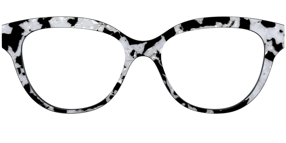 The Black & White Pearl Tortoise