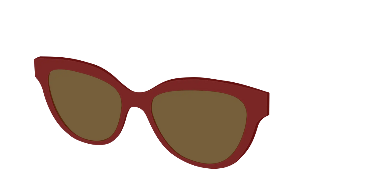 The Polarized Burgundy Sun Top