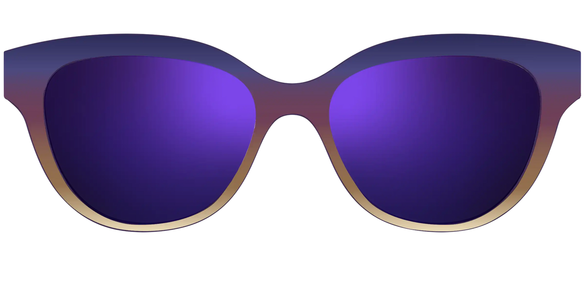 The Polarized Dusk to Dawn Gradient Sun Top