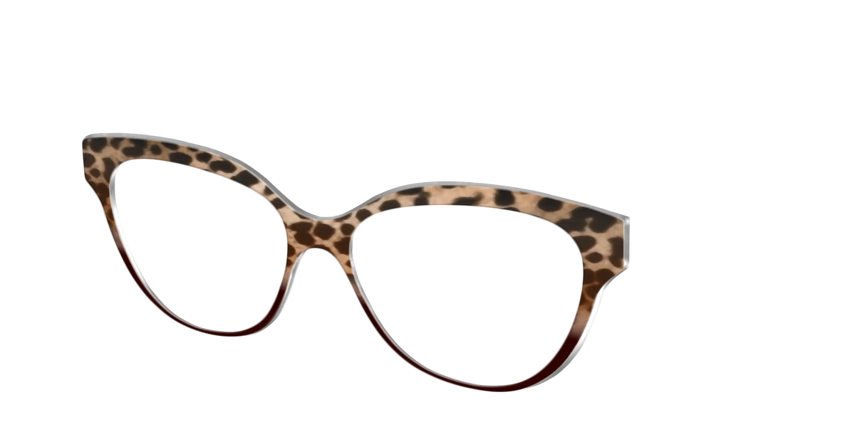 The Jungle Cat Tortoise