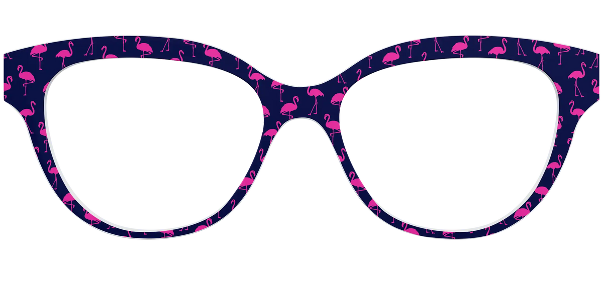 The Navy Flamingos