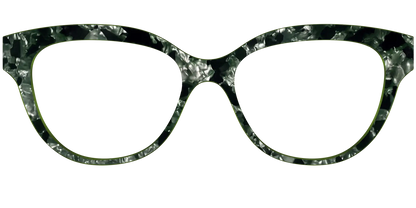 The Olive Pearl Tortoise