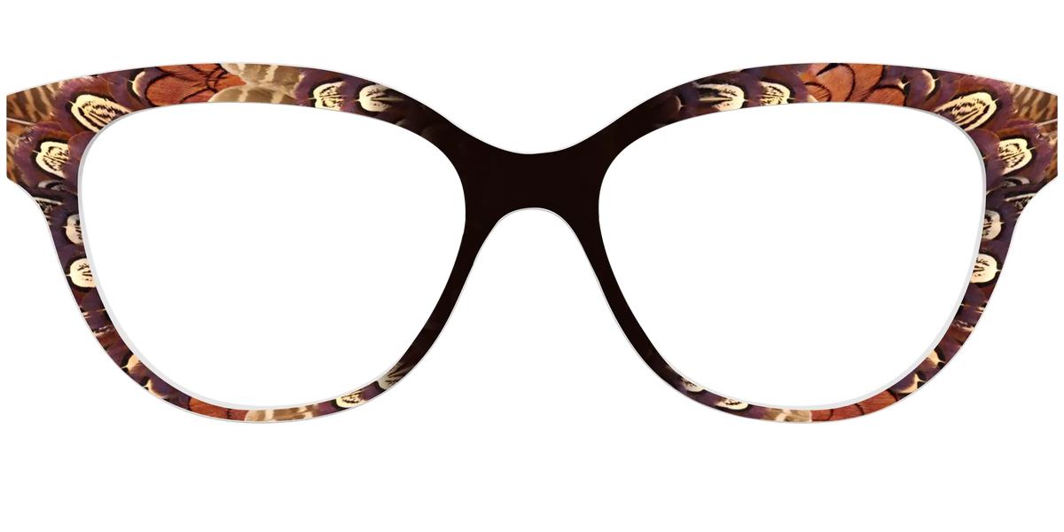 The Pheasant Feathers