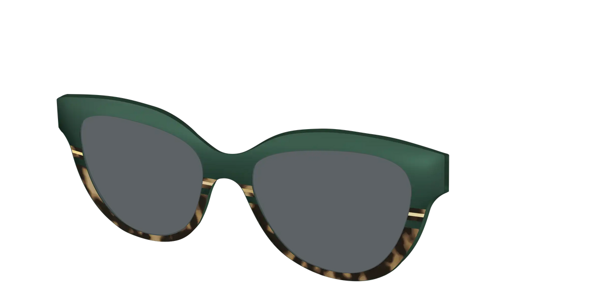 The Polarized Spruce Tortoise Sun Top