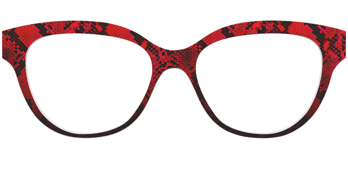 The Statement Snakeskin