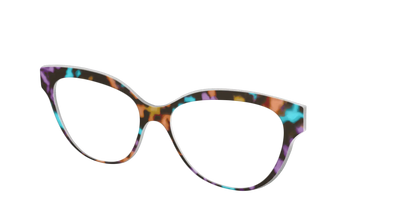 The Summer Tortoise