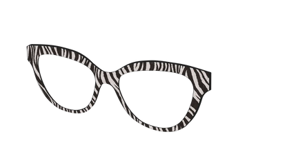 The Zebra Stripes