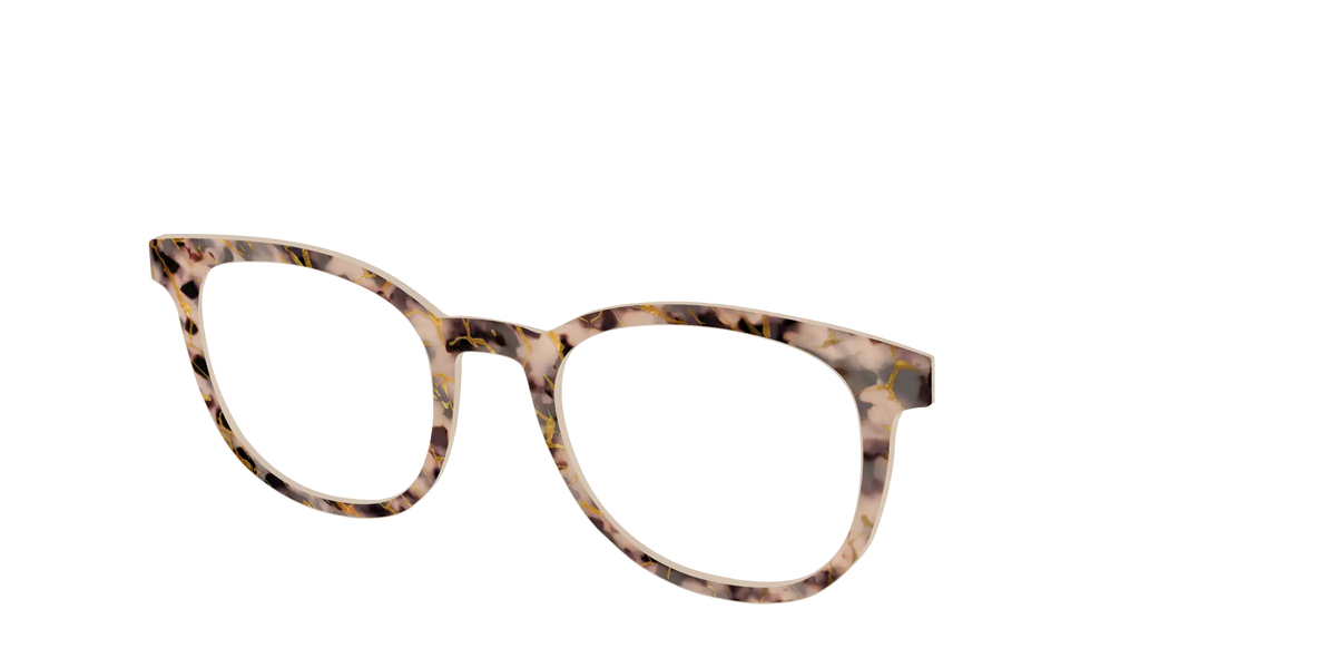 The Almond Tortoise with Gold Streaks