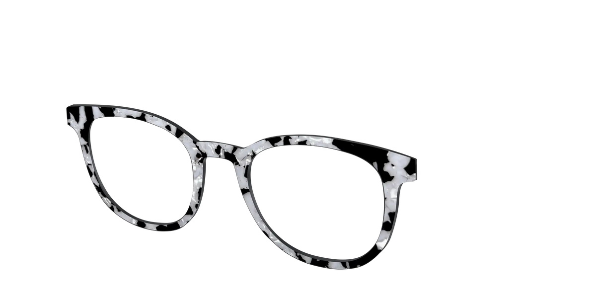 The Black & White Pearl Tortoise