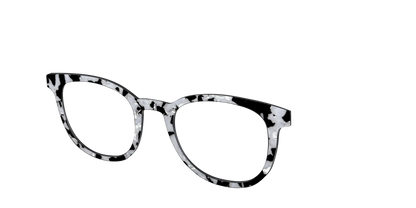 The Black & White Pearl Tortoise