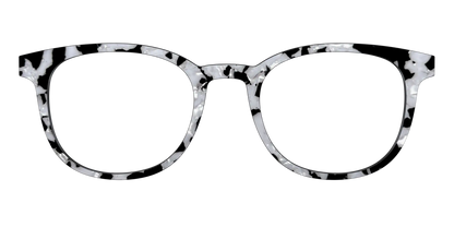 The Black & White Pearl Tortoise