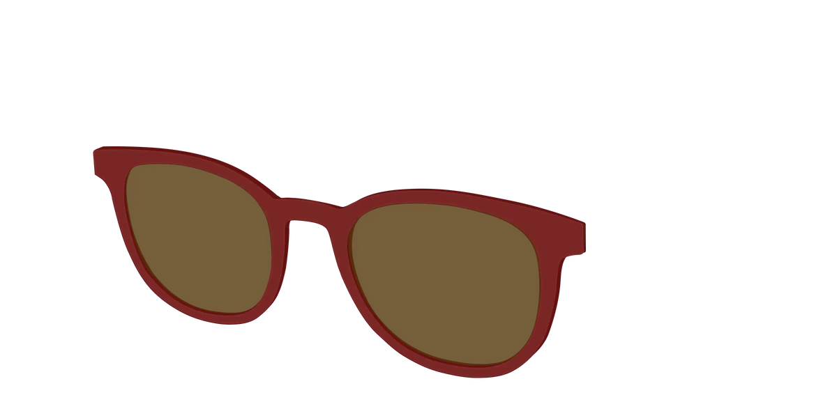 The Polarized Burgundy Sun Top
