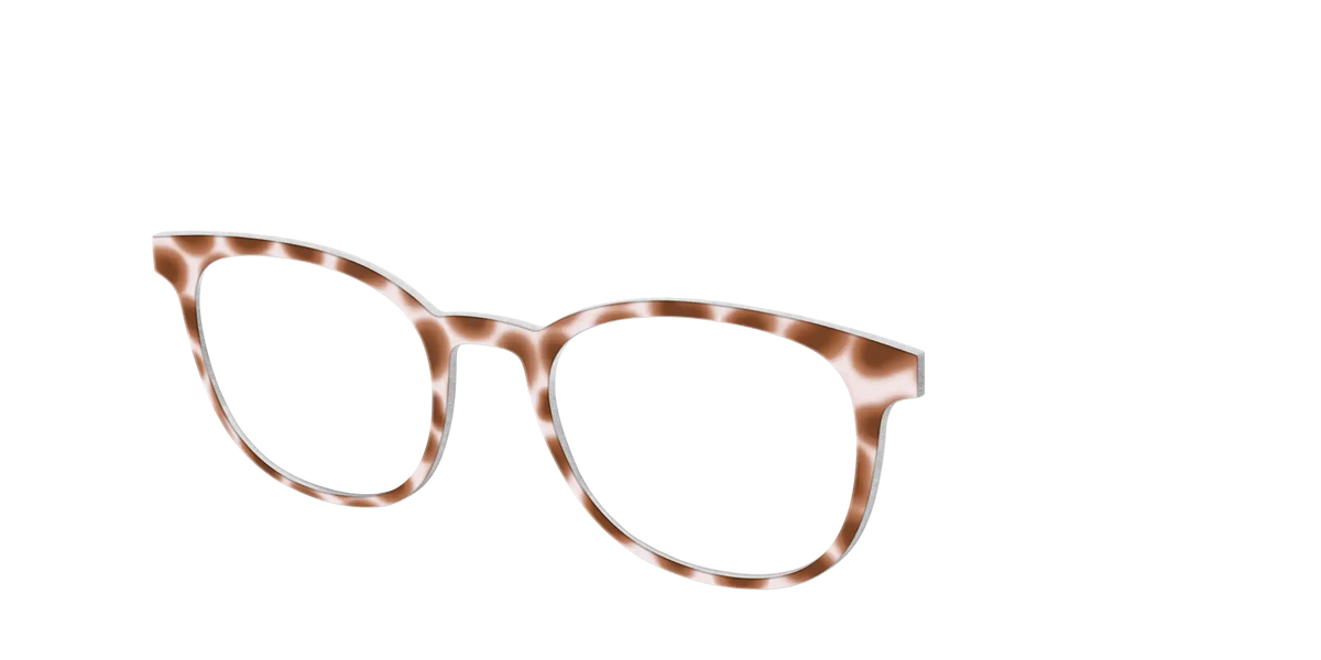 The Caffé Tortoise