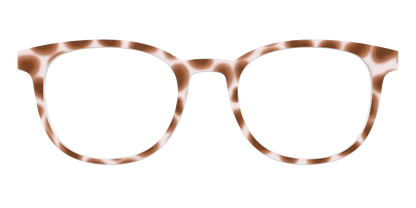 The Caffé Tortoise