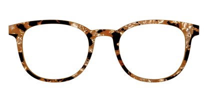 The Caramel Pearl Tortoise