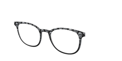 The Chrome Skulls