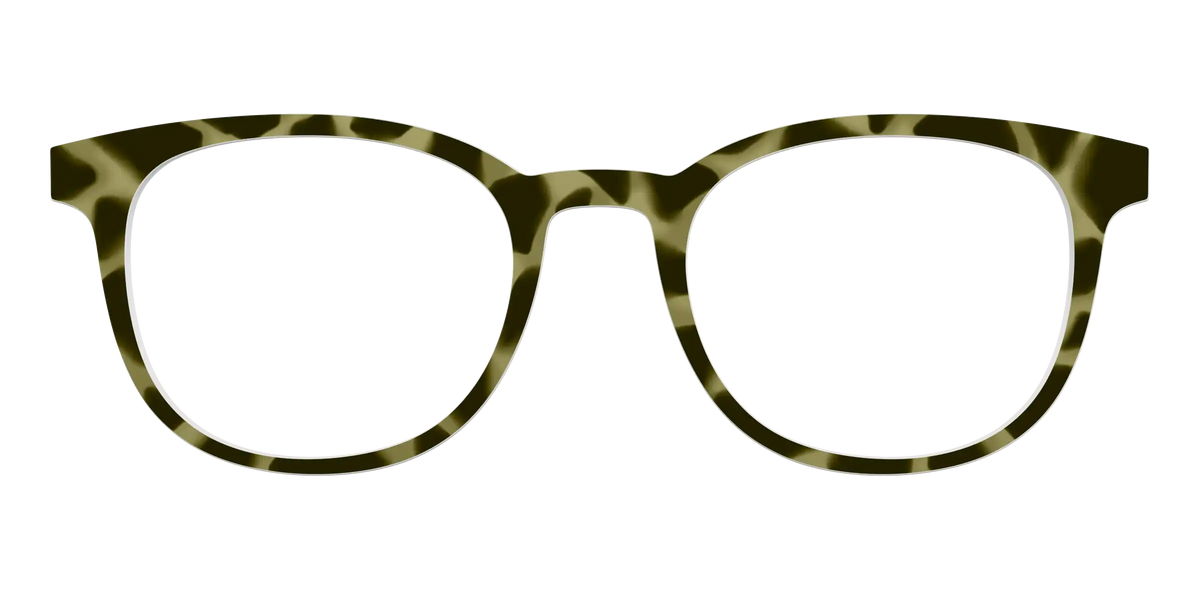 The Olive Tortoise