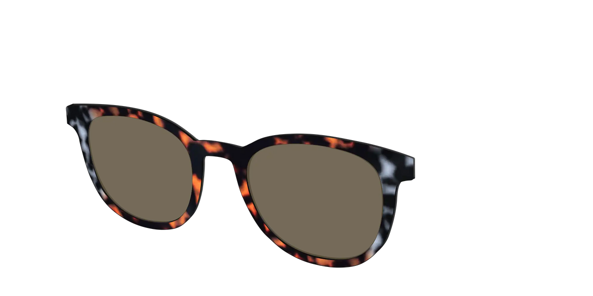 The Polarized Gray & Amber Tortoise Sun Top