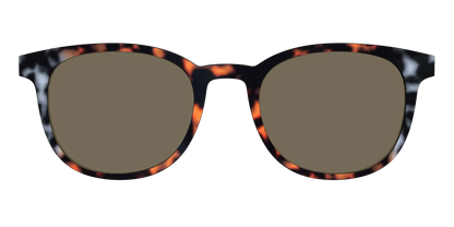 The Polarized Gray & Amber Tortoise Sun Top