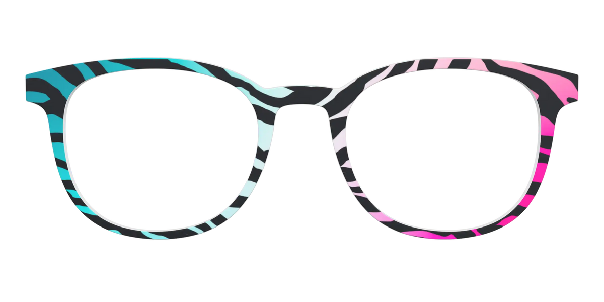 The Rainbow Zebra
