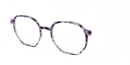 The Bewitching Tortoise