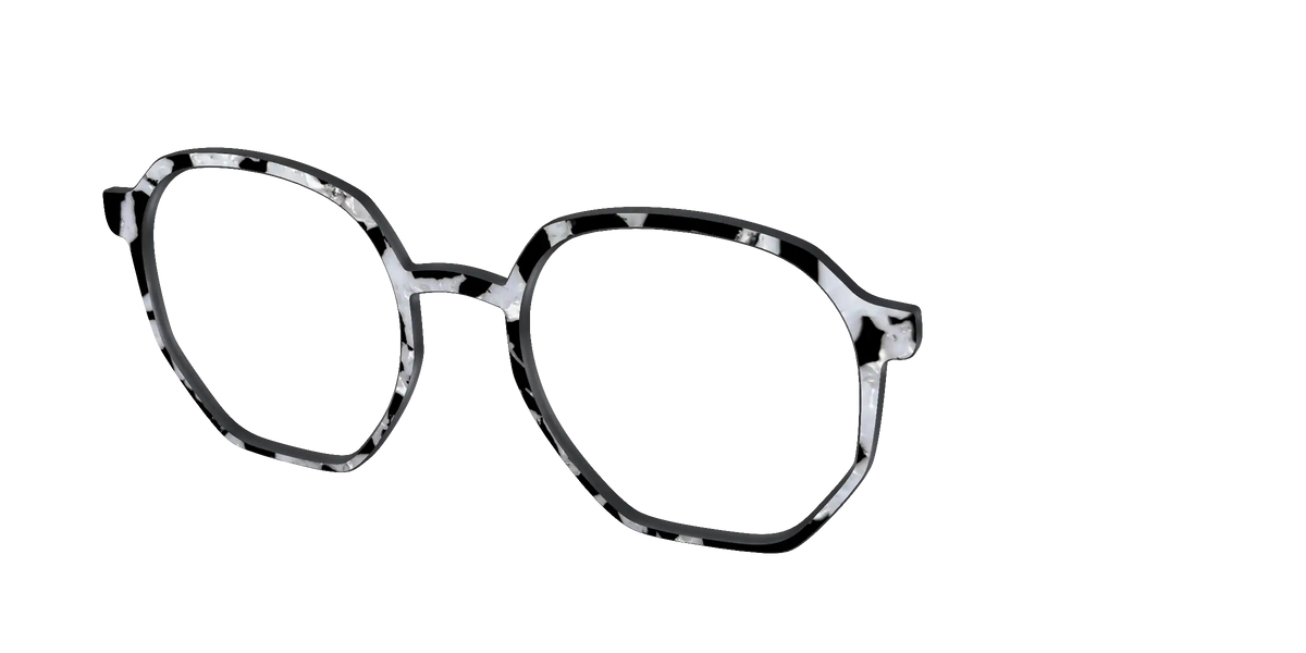 The Black & White Pearl Tortoise