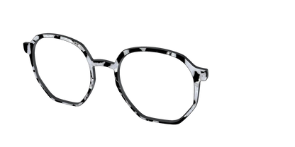 The Black & White Pearl Tortoise