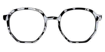 The Black & White Pearl Tortoise