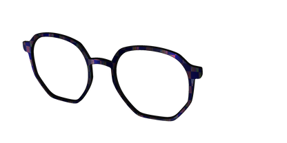 The Black Holographic Check
