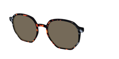 The Polarized Gray & Amber Tortoise Sun Top