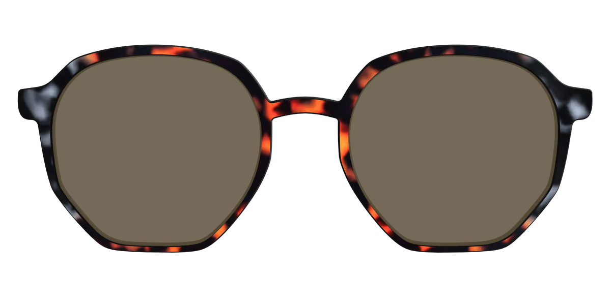 The Polarized Gray & Amber Tortoise Sun Top