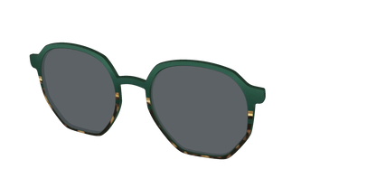The Polarized Spruce Tortoise Sun Top
