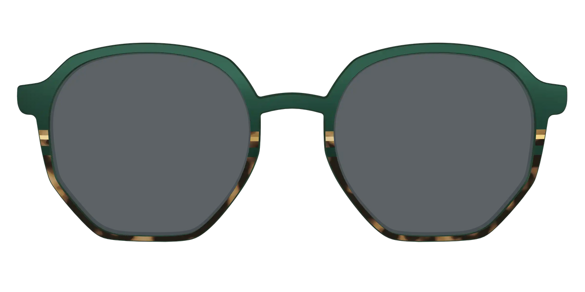 The Polarized Spruce Tortoise Sun Top