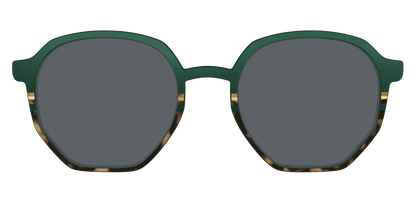 The Polarized Spruce Tortoise Sun Top