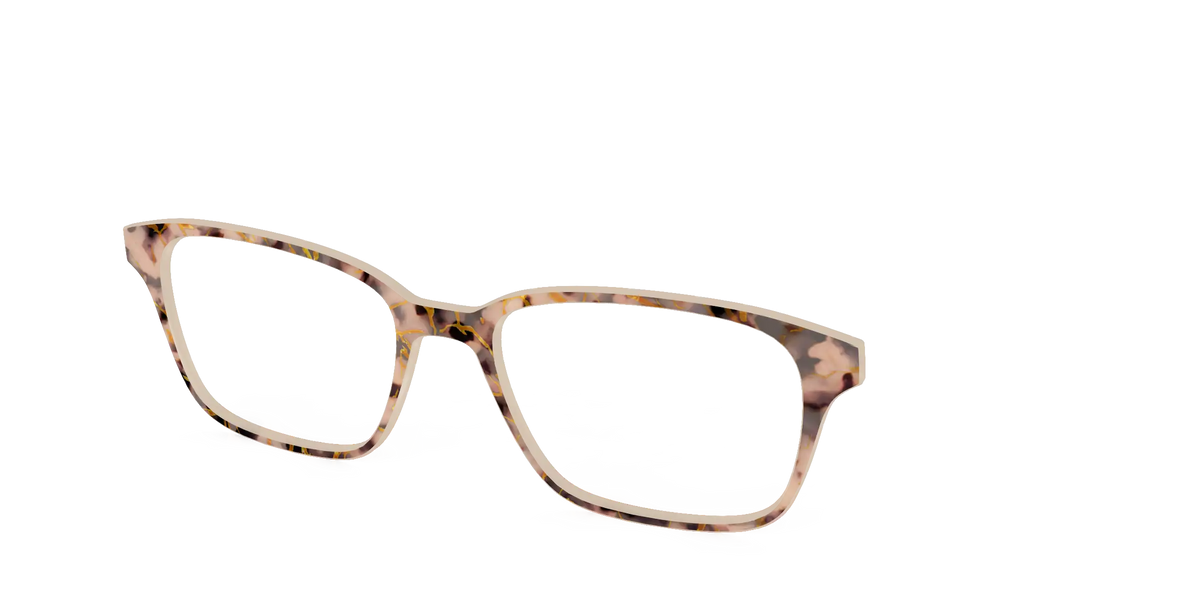 The Almond Tortoise with Gold Streaks