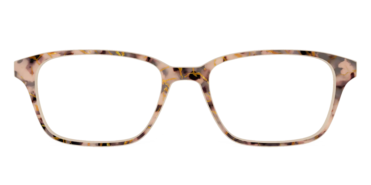 The Almond Tortoise with Gold Streaks