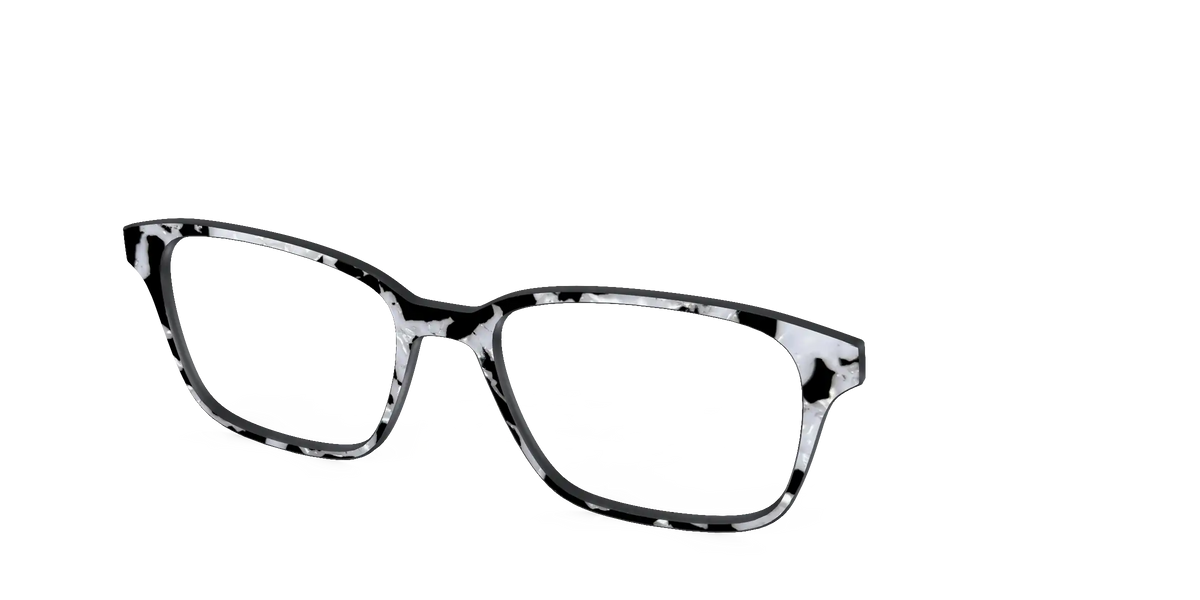 The Black & White Pearl Tortoise