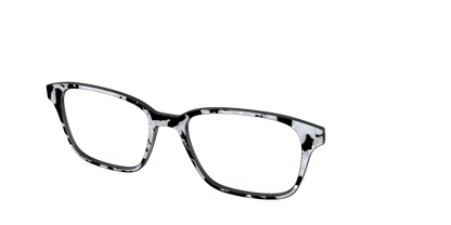 The Black & White Pearl Tortoise