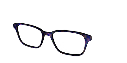 The Black Holographic Check
