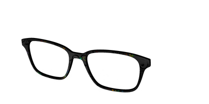 The Black Holographic Scrolls