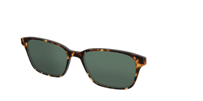 The Non-Polarized Green Tortoise Sun Top