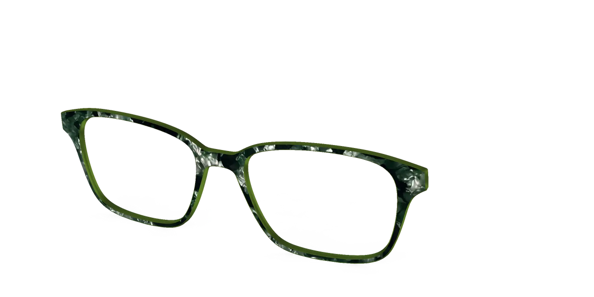 The Olive Pearl Tortoise