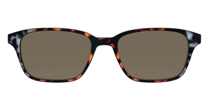 The Polarized Gray & Amber Tortoise Sun Top