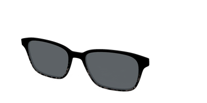 The Polarized Shaded Tortoise Sun Top