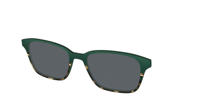 The Polarized Spruce Tortoise Sun Top