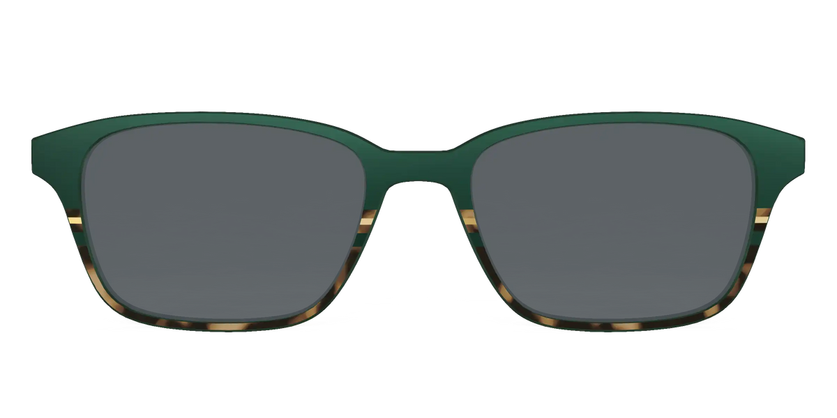 The Polarized Spruce Tortoise Sun Top